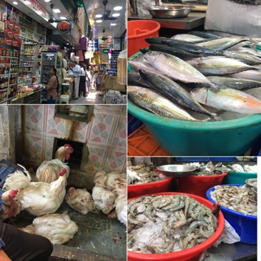 インド魚市場